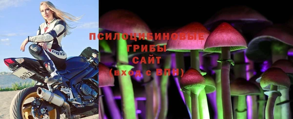 прущие грибы Балабаново