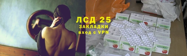 прущие грибы Балабаново