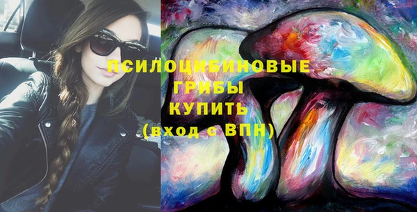 прущие грибы Балабаново