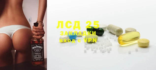 прущие грибы Балабаново