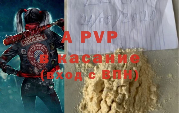 прущие грибы Балабаново