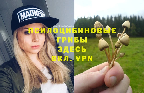 прущие грибы Балабаново