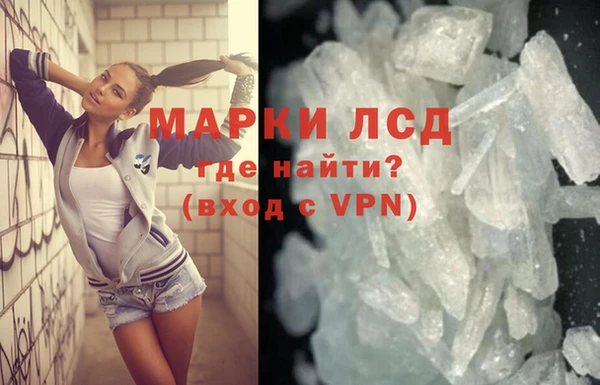 прущие грибы Балабаново